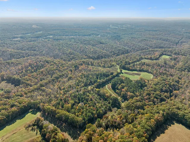 $700,000 | 7489 Shoals Branch Road, Primm Springs, TN 38476