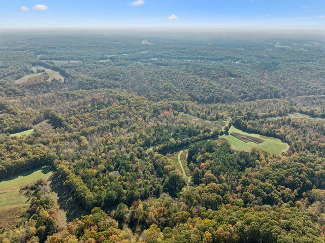 $700,000 | 7489 Shoals Branch Road, Primm Springs, TN 38476