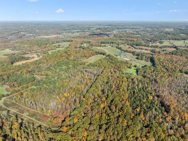 $700,000 | 7489 Shoals Branch Road, Primm Springs, TN 38476