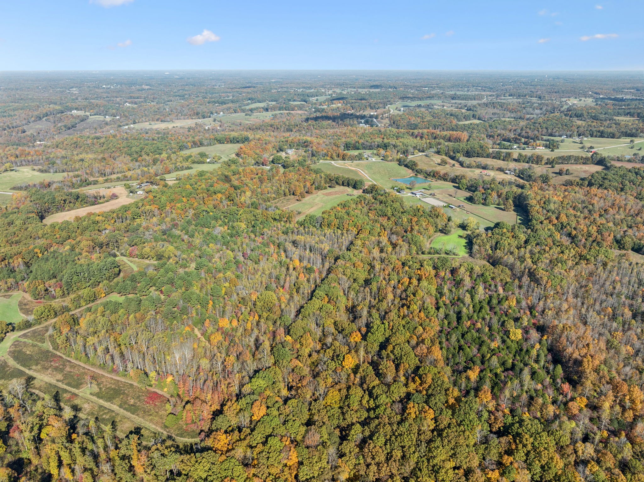 7489 Shoals Branch Road Primm Springs, TN 38476 - Photo 34 of 34