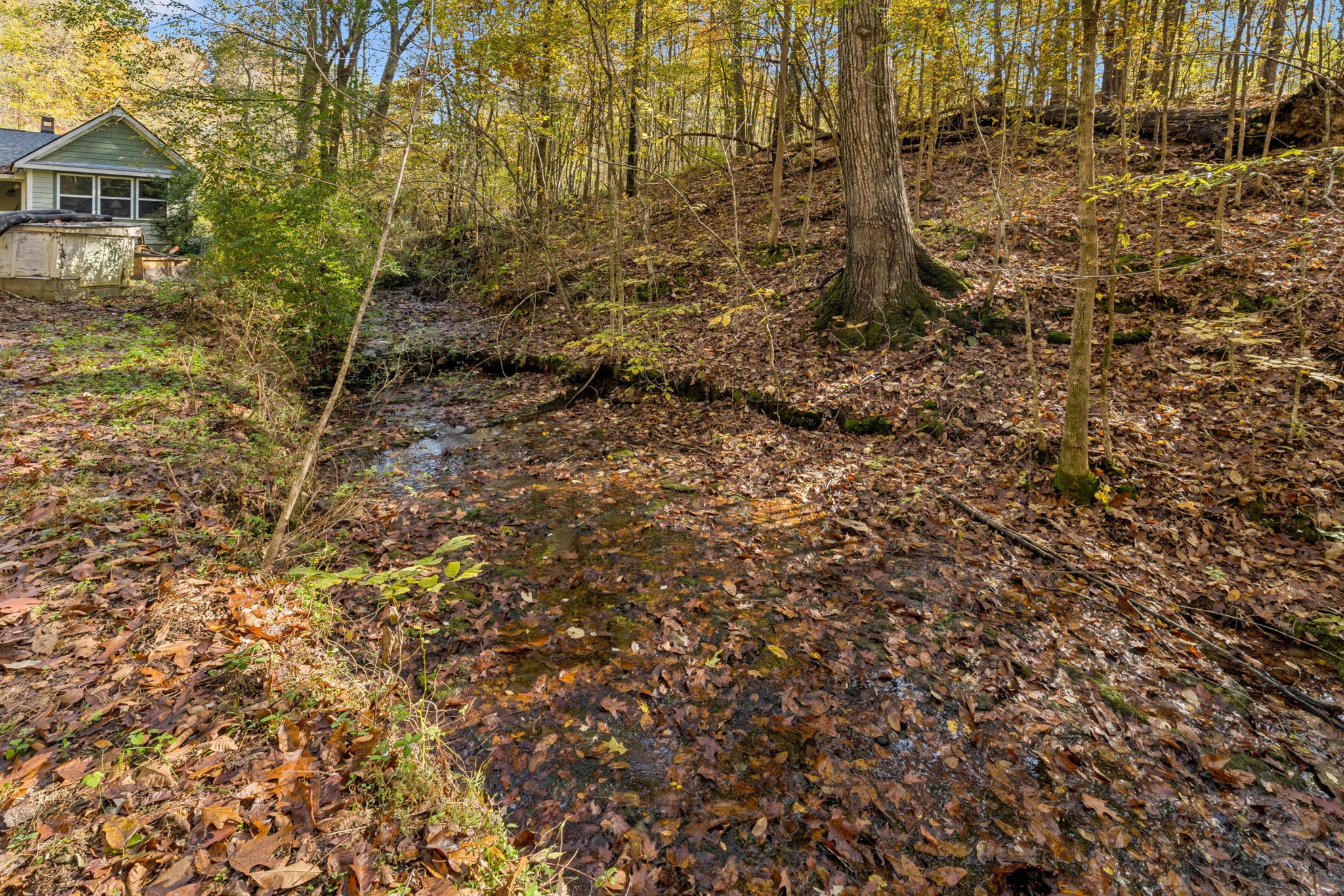 7489 Shoals Branch Road Primm Springs, TN 38476 - Photo 5 of 34