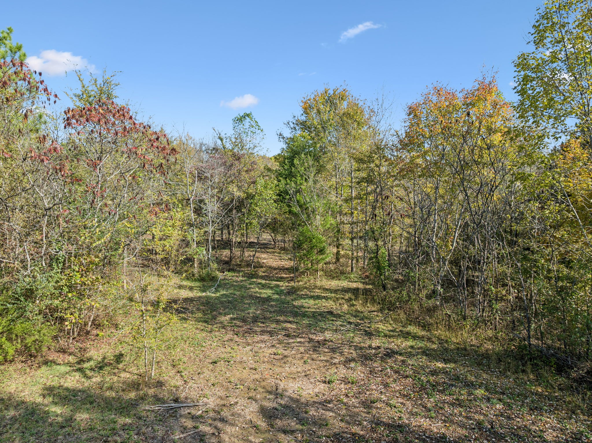 7489 Shoals Branch Road Primm Springs, TN 38476 - Photo 8 of 34