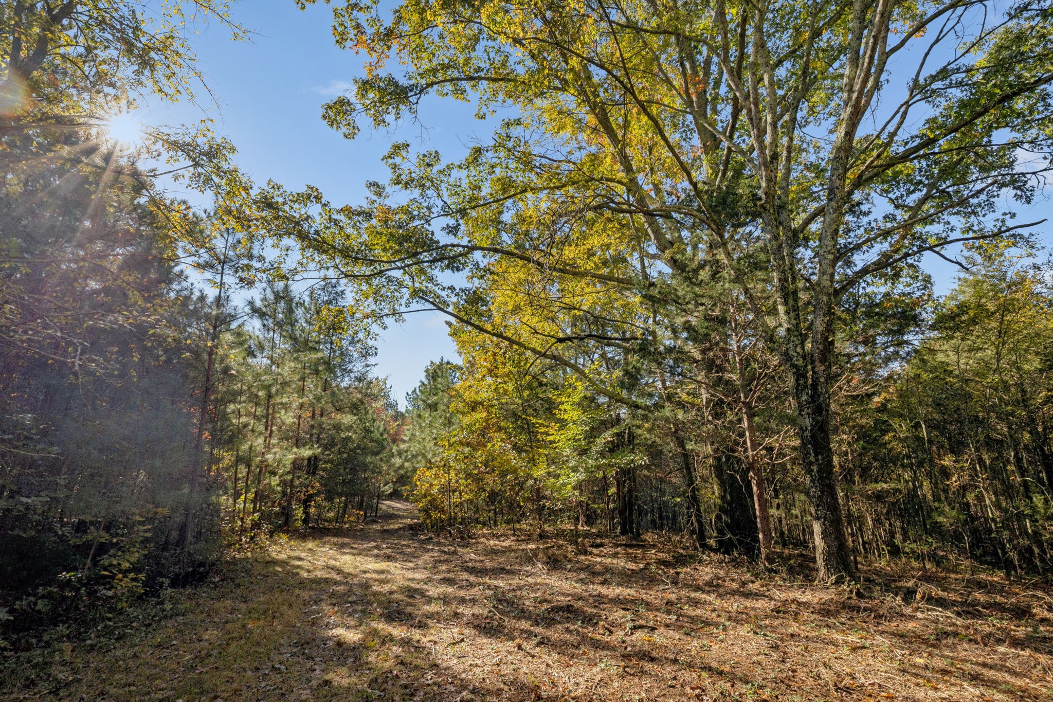 7489 Shoals Branch Road Primm Springs, TN 38476 - Photo 9 of 34