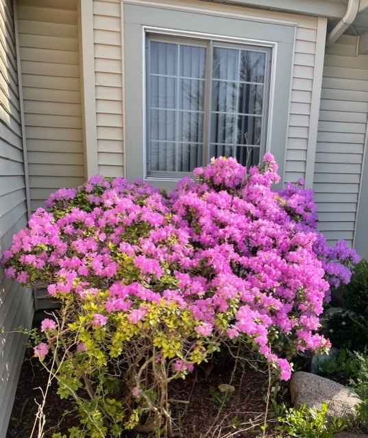 16943 West State Line Road Zion, IL 60099 - Photo 24 of 26 a view of a house with a flower garden