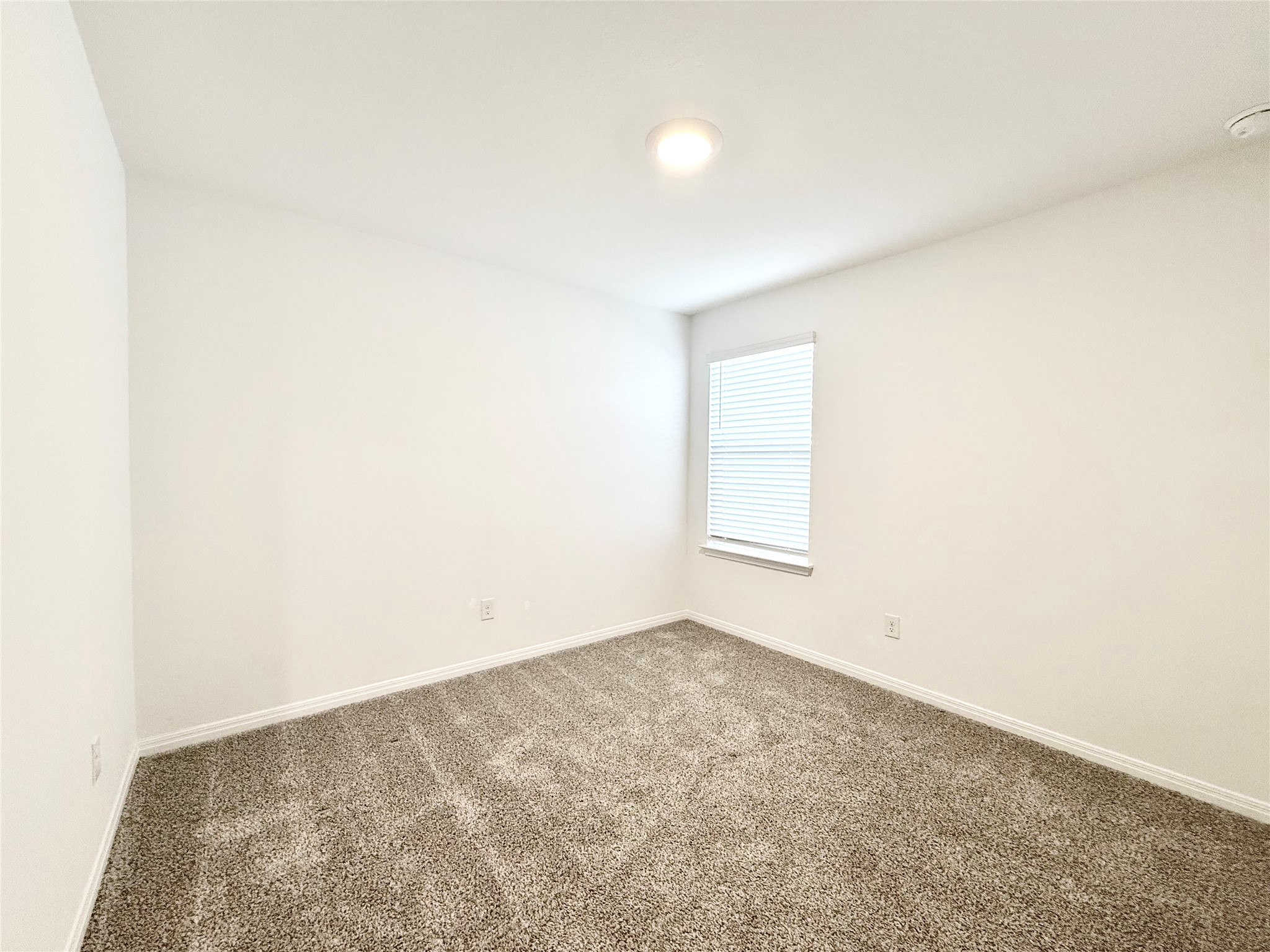 598 Gladiola Loop Kyle, TX 78640 - Photo 27 of 33 Carpeted empty room with baseboards