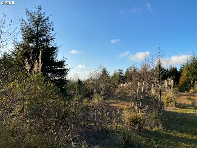 70400 Stage Road North Bend, OR 97459 - Photo 11 of 13 Gallery Image 11