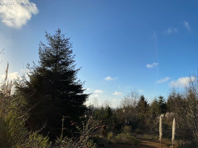 70400 Stage Road North Bend, OR 97459 - Photo 12 of 13 Gallery Image 12