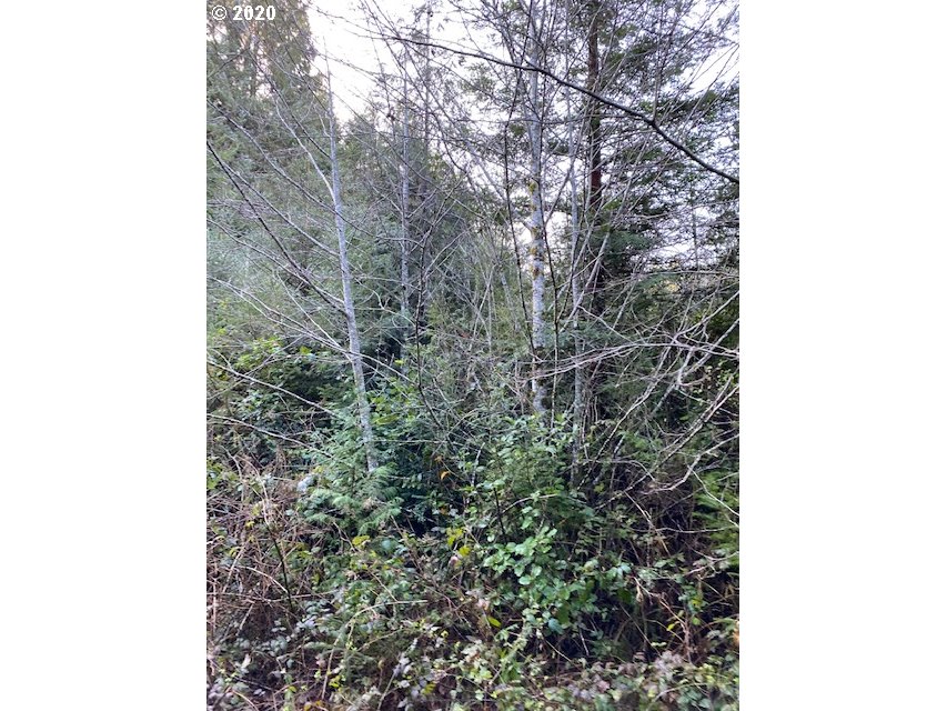 70400 Stage Road North Bend, OR 97459 - Photo 4 of 13 Gallery Image 4