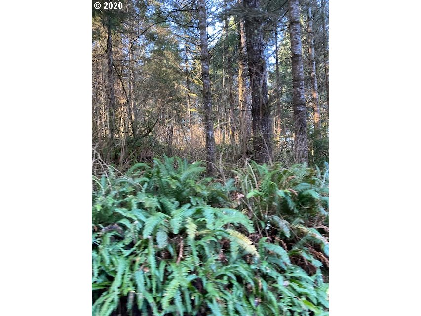 70400 Stage Road North Bend, OR 97459 - Photo 5 of 13 Gallery Image 5