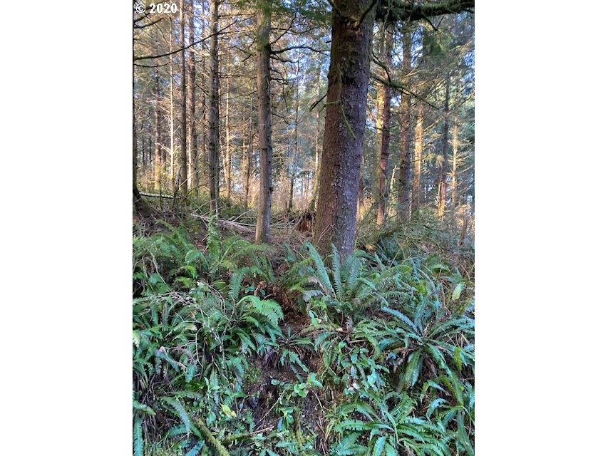 70400 Stage Road North Bend, OR 97459 - Photo 6 of 13 Gallery Image 6