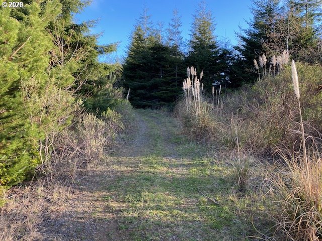 70400 Stage Road North Bend, OR 97459 - Photo 10 of 13 Gallery Image 10