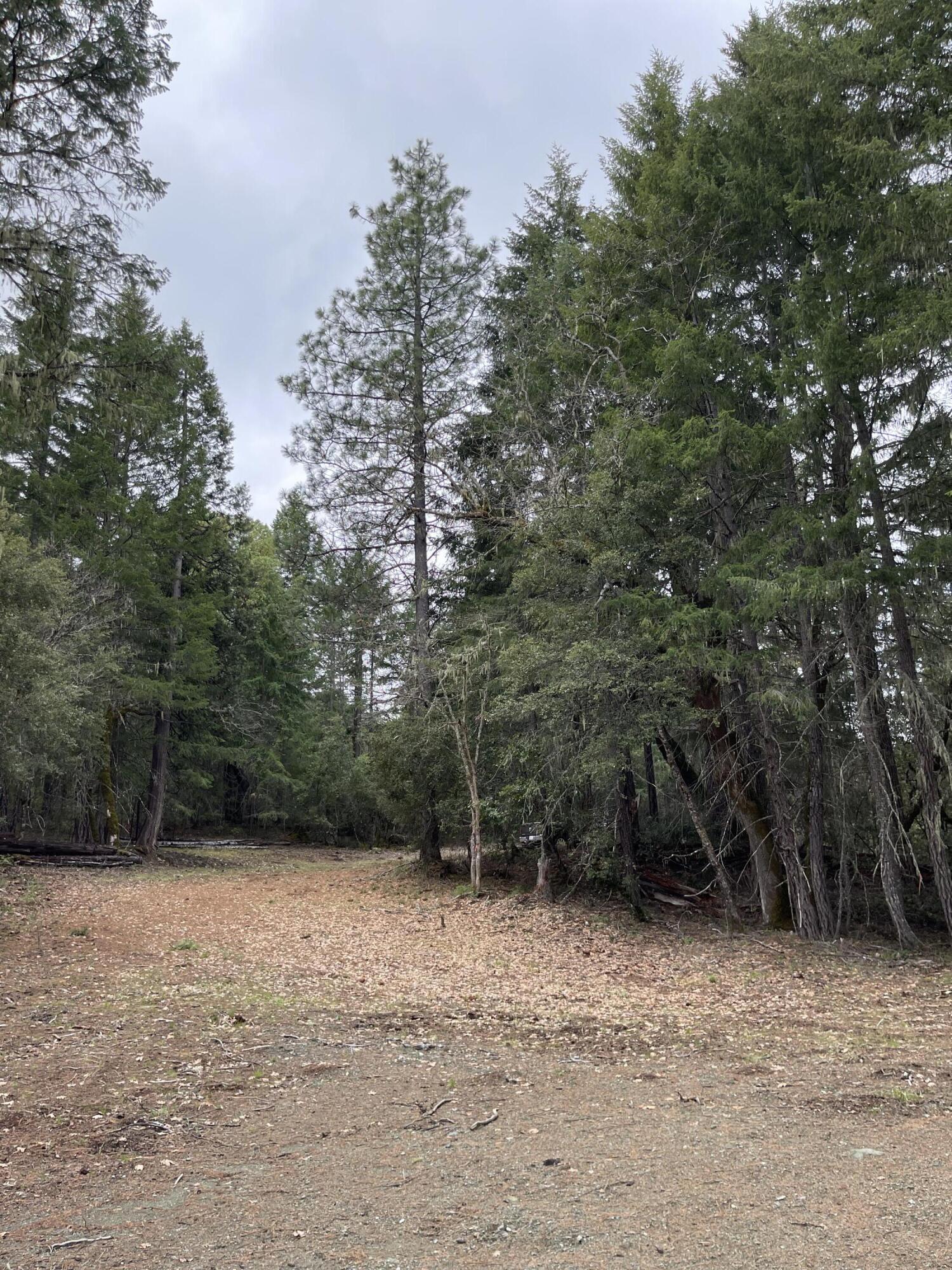 345 Mcdonald Creek Road Burnt Ranch, CA 95527 - Photo 19 of 27 IMG_5374