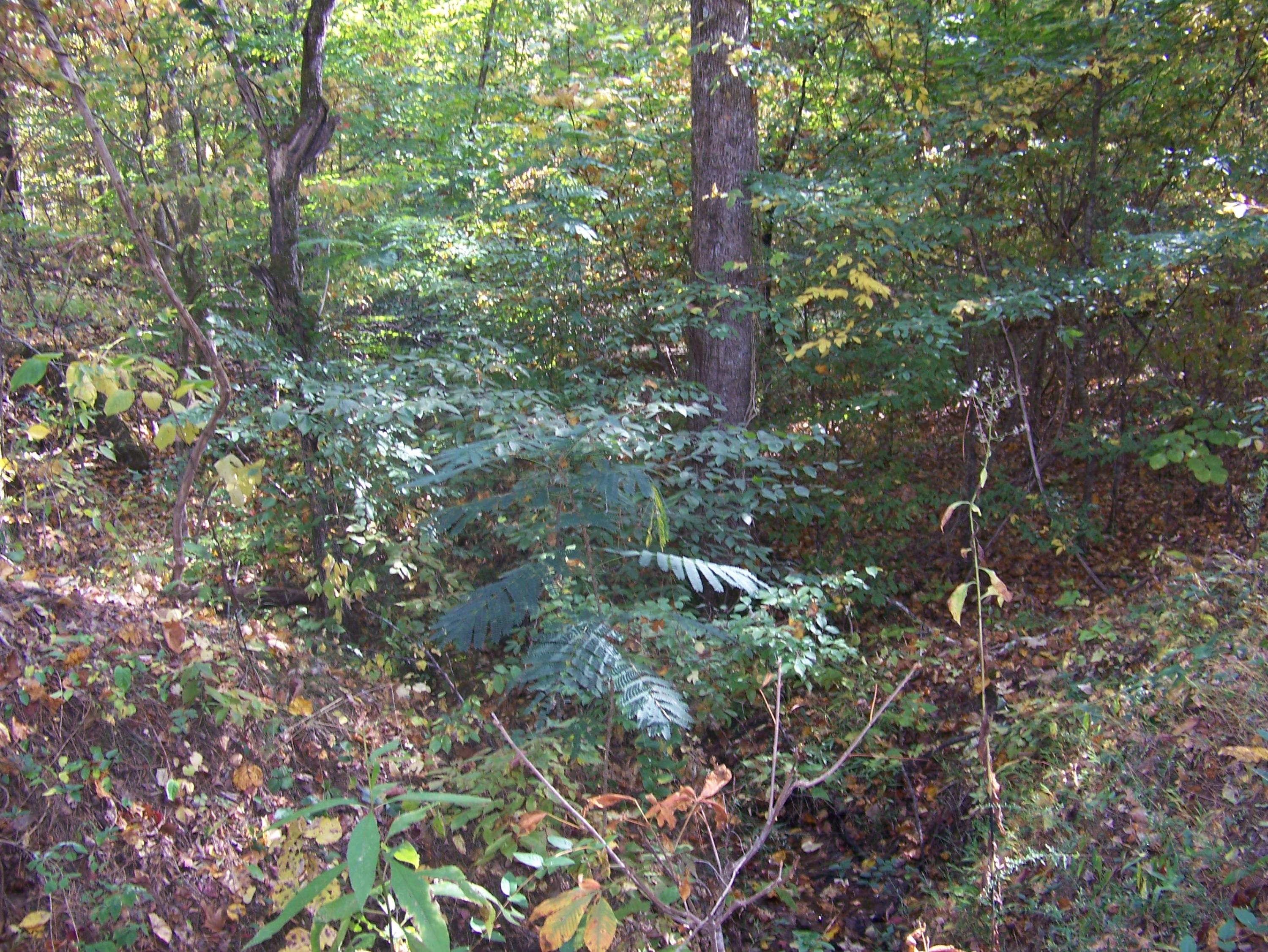 Gribble Road Maryville, TN 37803 - Photo 14 of 34 Gribble Rd