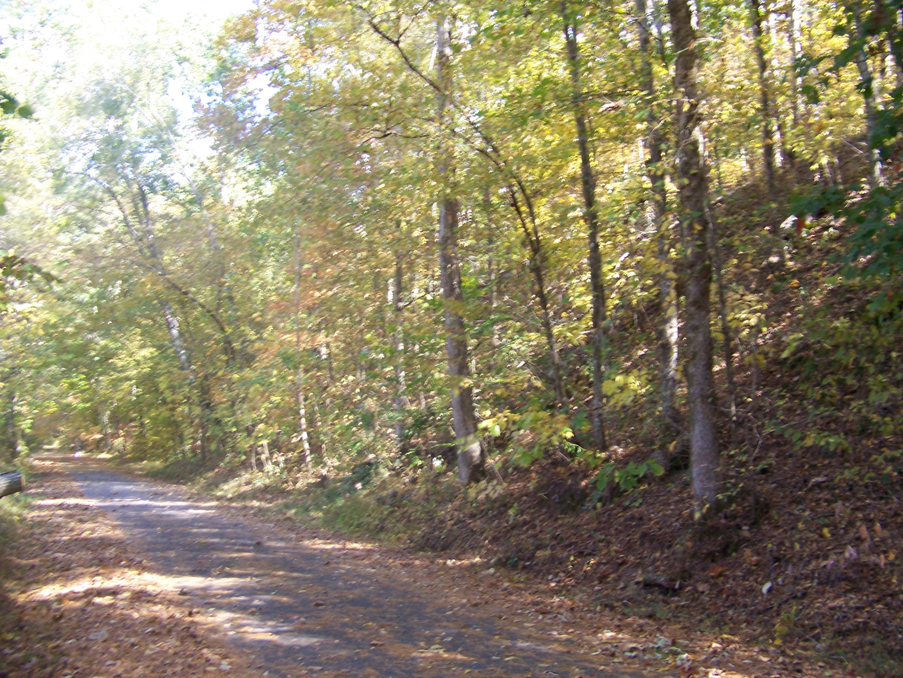 Gribble Road Maryville, TN 37803 - Photo 3 of 34 Gribble Rd