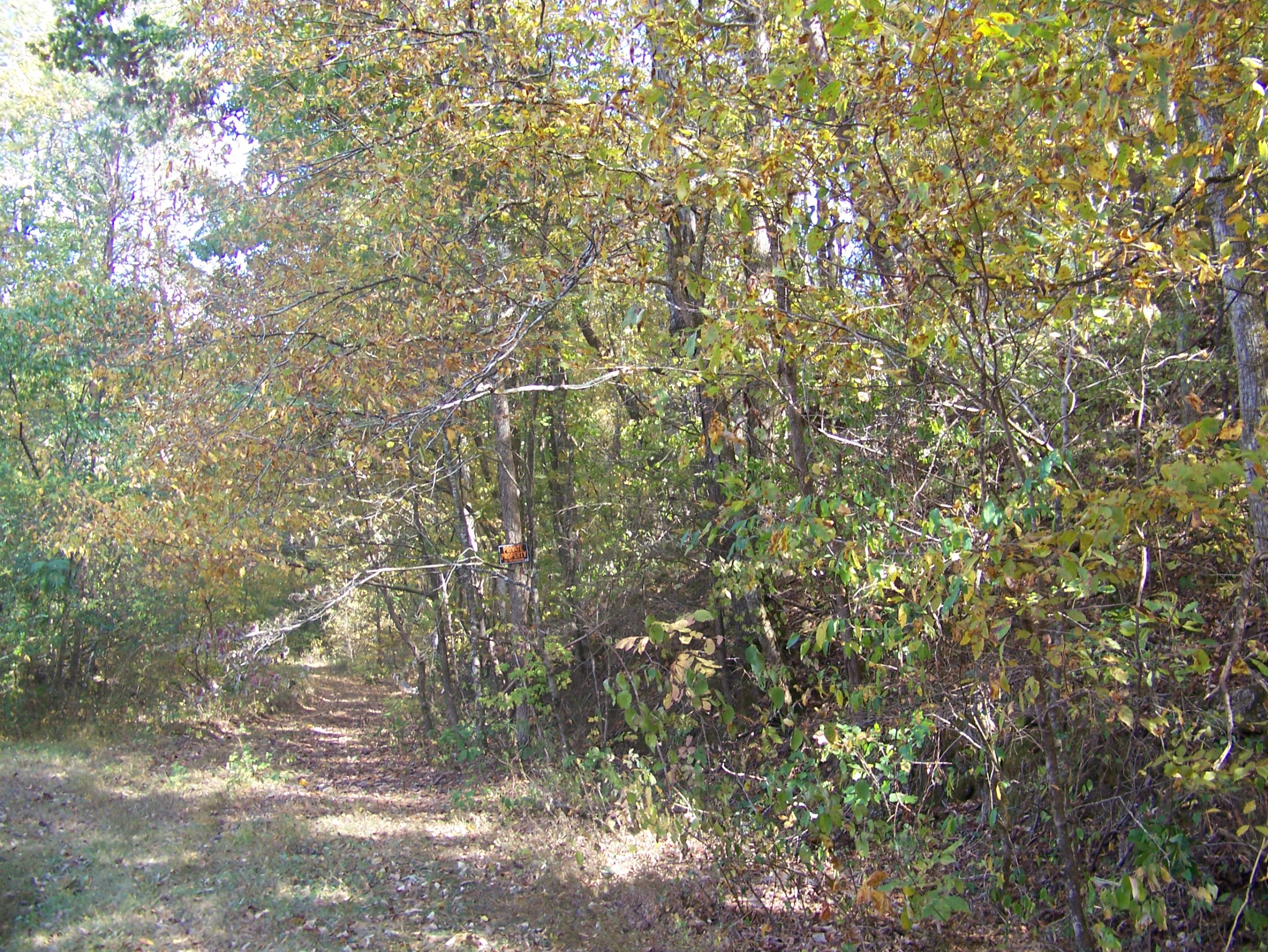 Gribble Road Maryville, TN 37803 - Photo 22 of 34 Gribble Rd