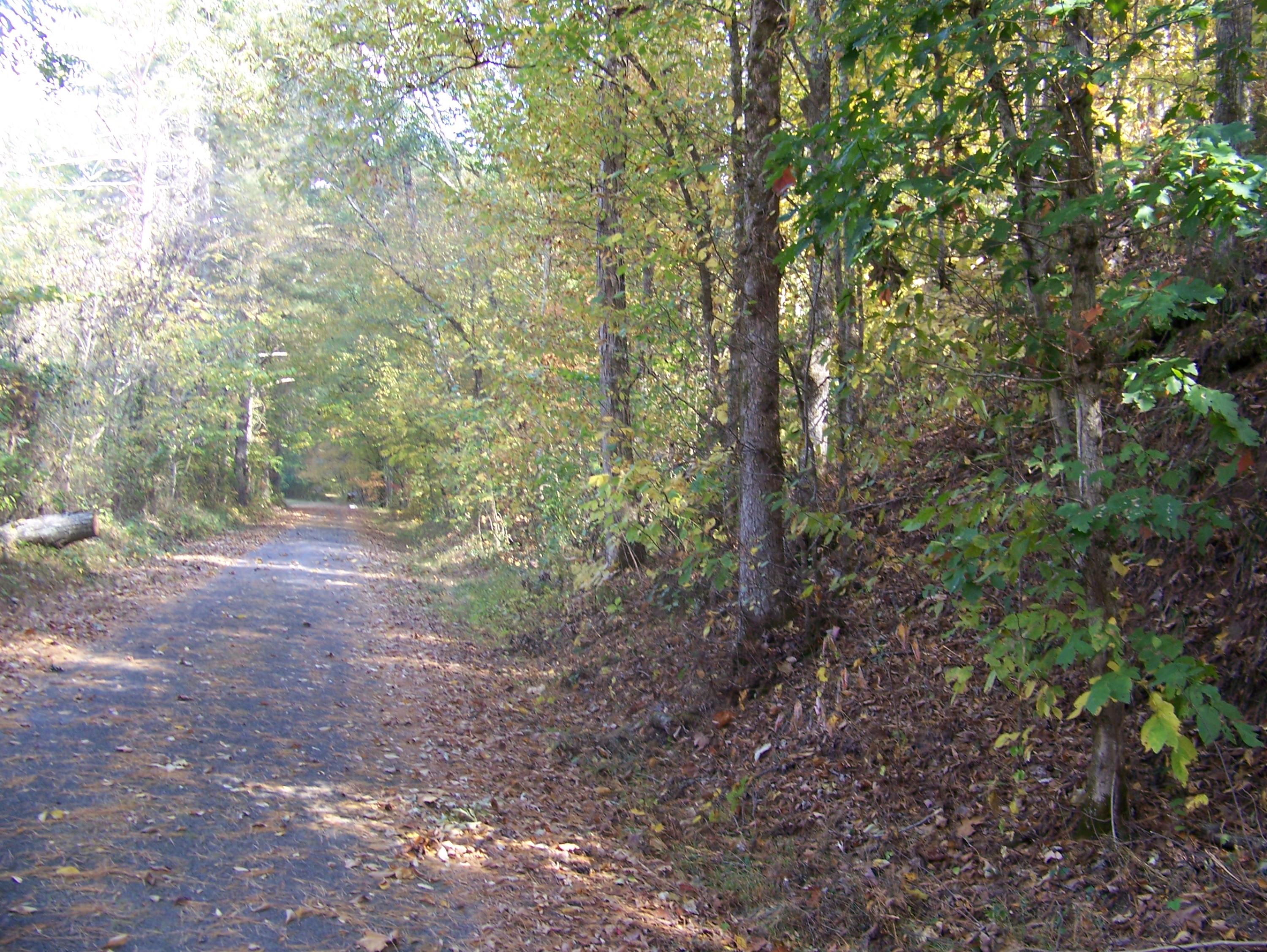 Gribble Road Maryville, TN 37803 - Photo 8 of 34 Gribble Rd