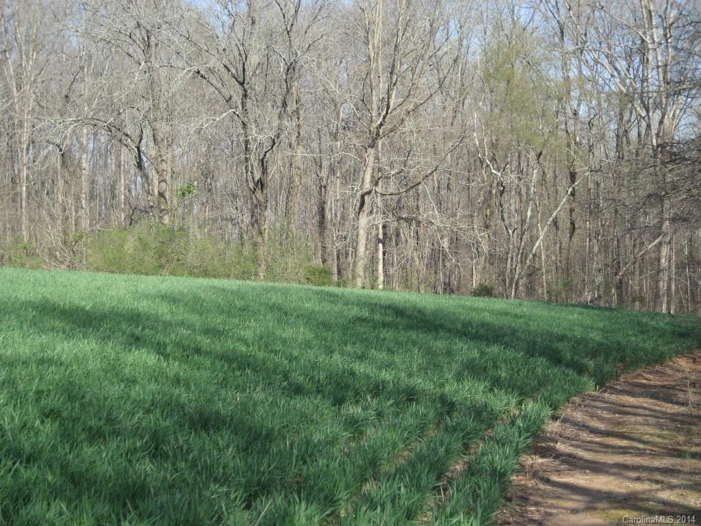 10503 Archer Road Davidson, NC 28036 - Photo 11 of 12 Gallery Image 11