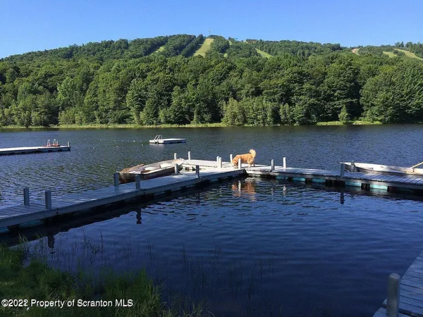 a view of a lake with a mountain in the background
