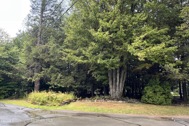 a view of swimming pool with trees in the background