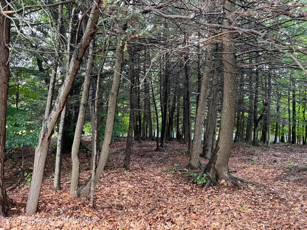 a backyard of a house with lots of trees