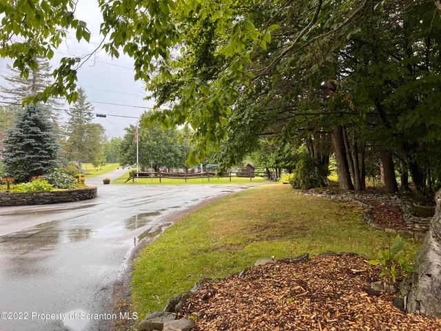 a view of road with large trees