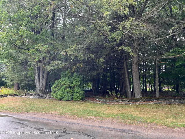 a view of a house with backyard and trees