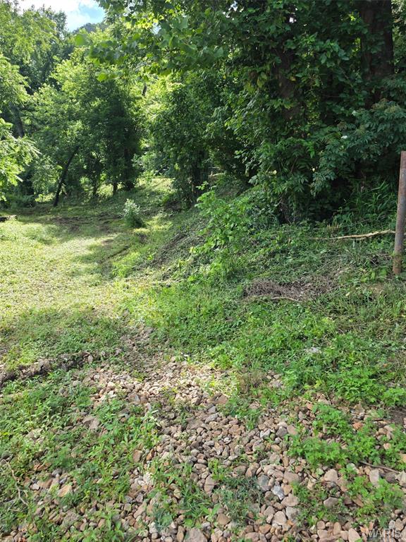 10-acre Lot 10-acre Road Dixon, MO 65459 - Photo 4 of 4