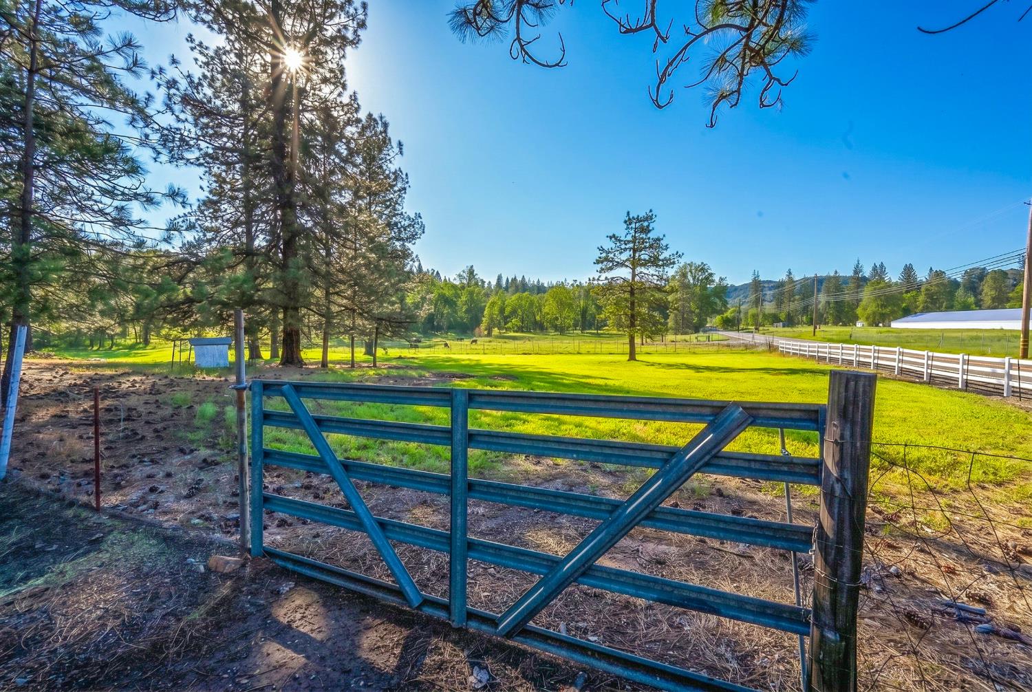 4360 Pleasant Valley Road Placerville, CA 95667 - Photo 20 of 71 a view of a swimming pool with a bench and trees in the background