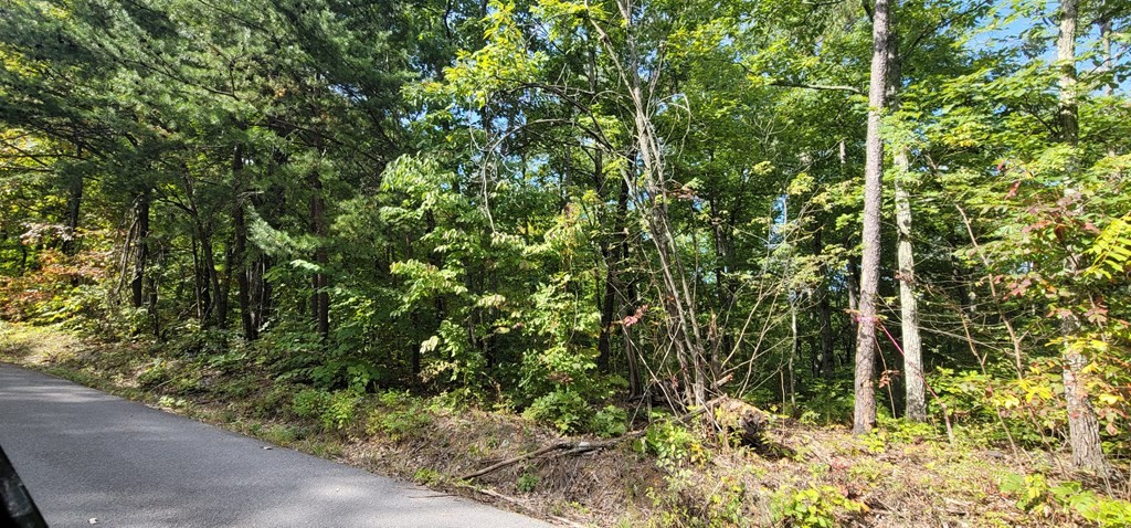 102 Shell Mountain Road Sevierville, TN 37876 - Photo 5 of 8