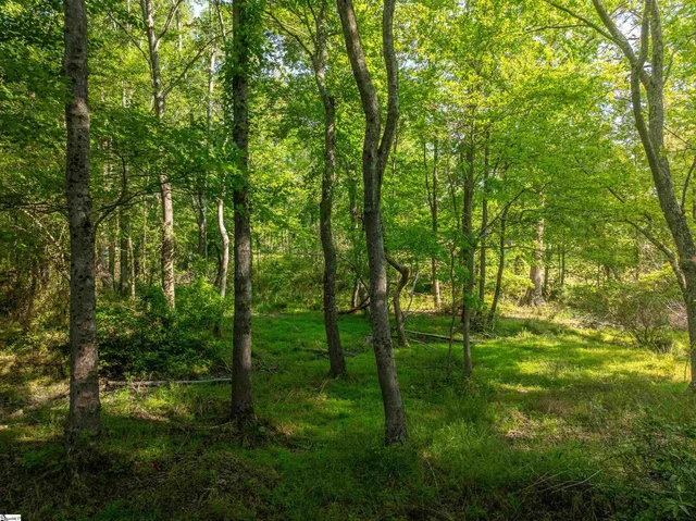 $140,000 | 10 Holliday Dam Road, Honea Path, SC 29654