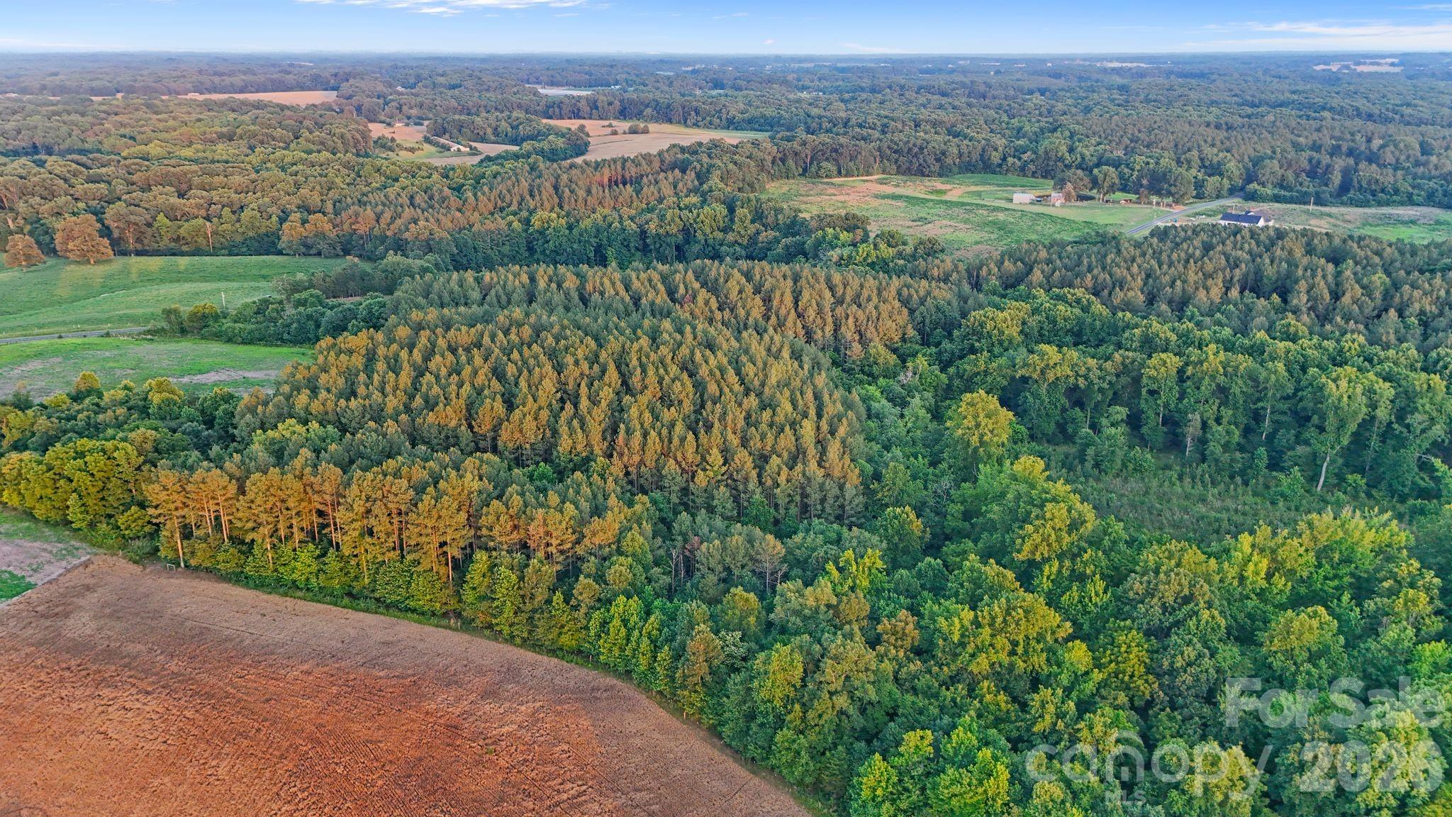 0 Lucy Short Cut Road, Unit 3 Marshville, NC 28103 - Photo 24 of 47