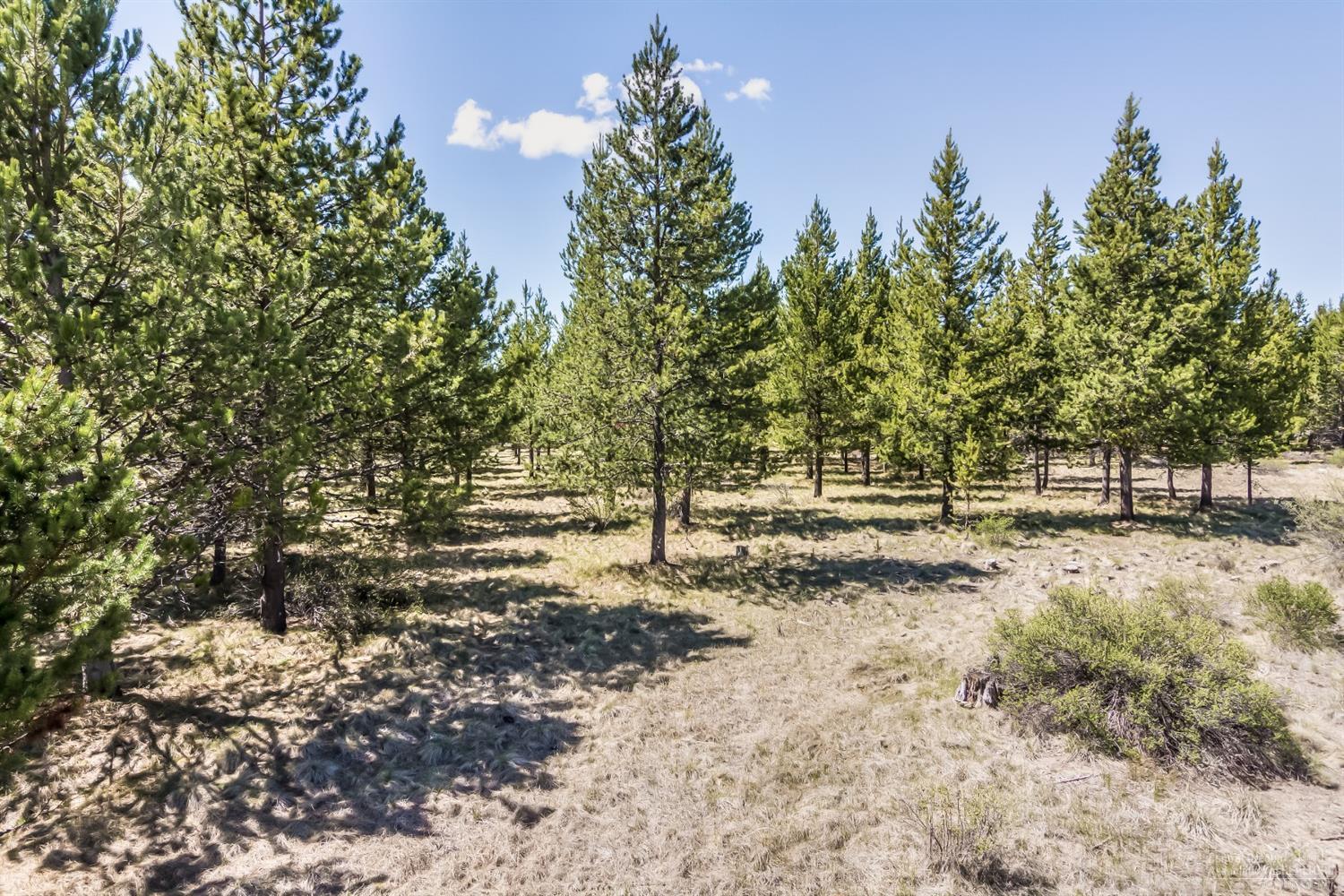 71 Twin Rivers Drive Bend, OR 97707 - Photo 13 of 17 Gallery Image 13
