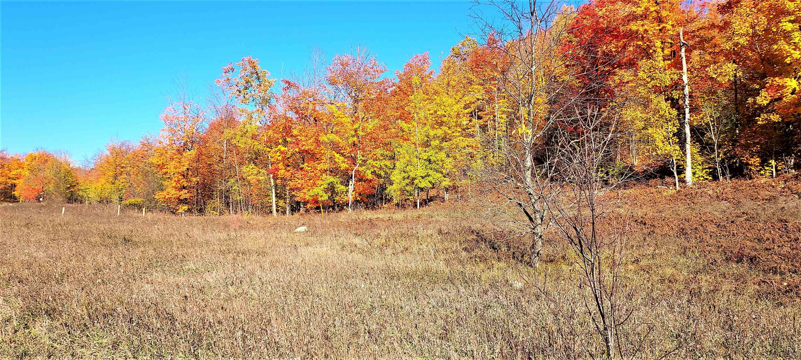 0 Twin Peaks Road Frederic, MI 49733 - Photo 23 of 35 Gallery Image 23