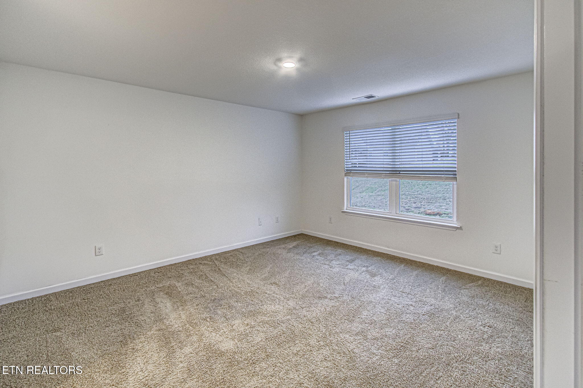 223 Ambernic Way Sweetwater, TN 37874 - Photo 19 of 37 19