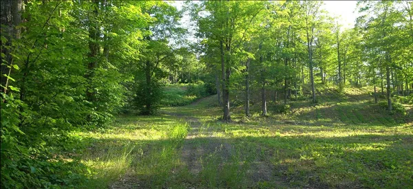 $79,000 | 83-xxx - Lot 11 83-xxx - Road, Bayfield, WI 54814