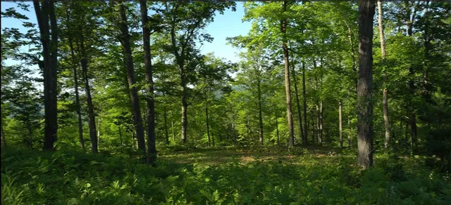 $79,000 | 83-xxx - Lot 11 83-xxx - Road, Bayfield, WI 54814