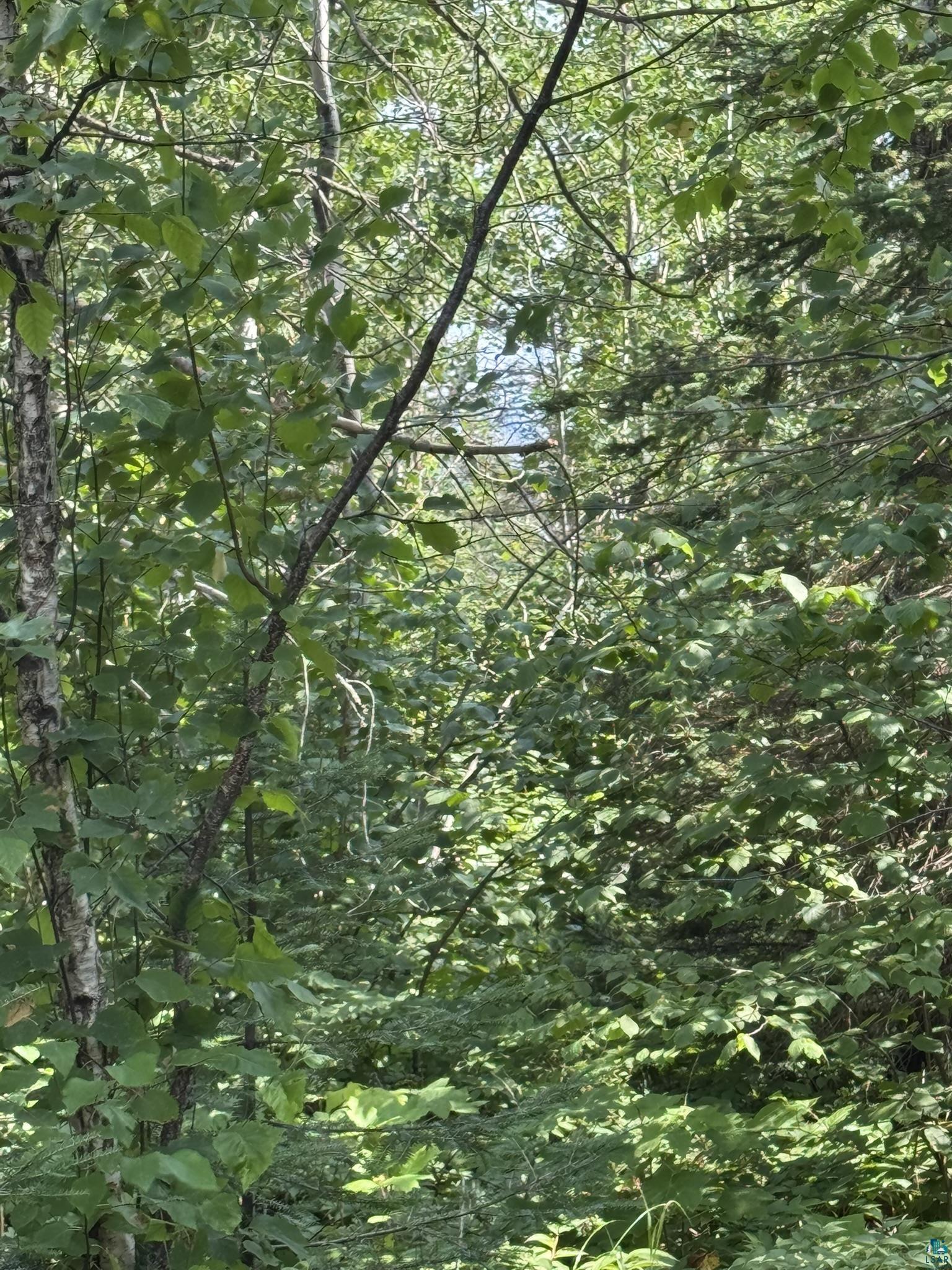 Xx Xx High Ridge Drive Silver Bay, MN 55614 - Photo 12 of 29