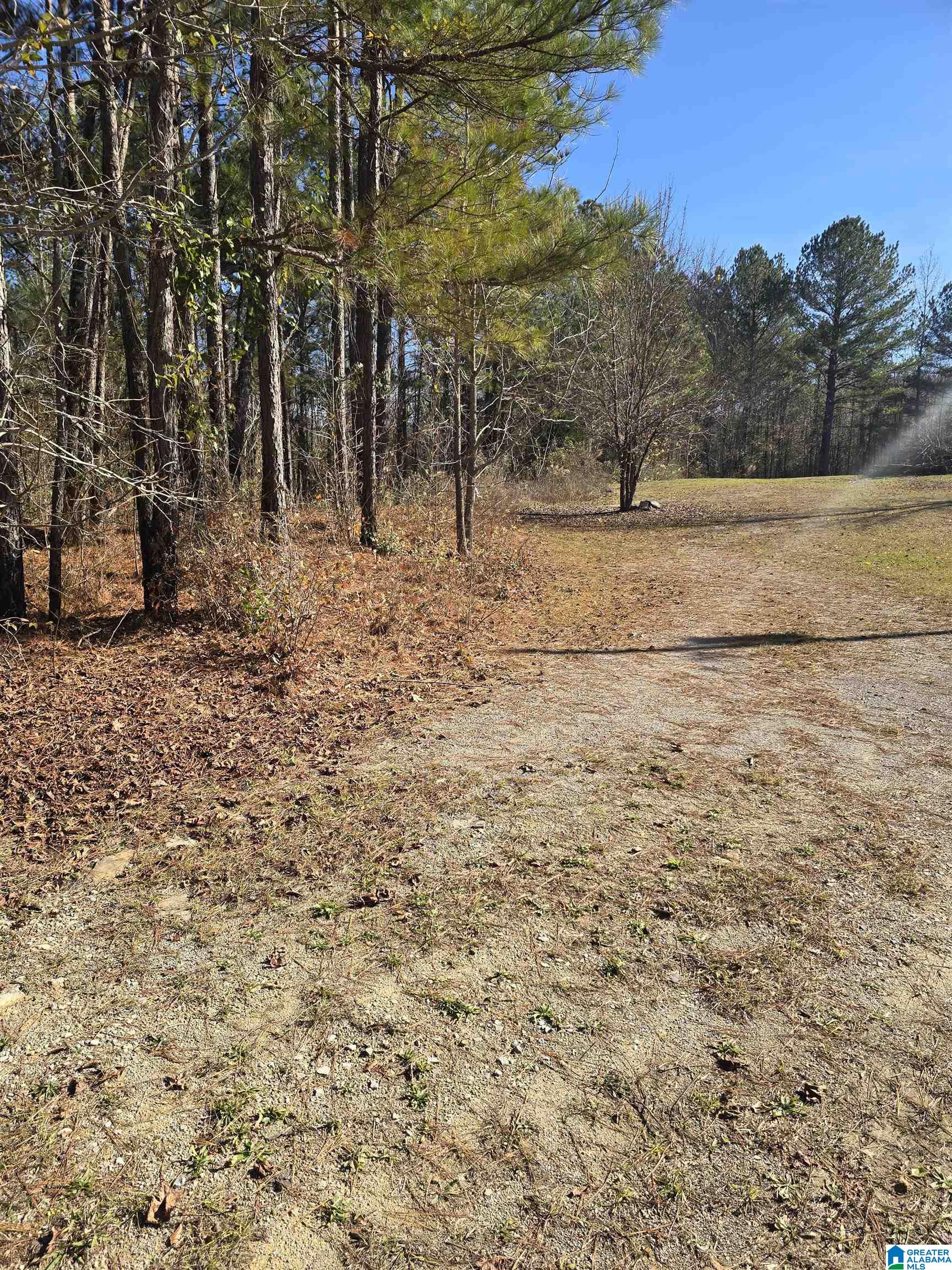 4850 Shoal Creek Road, Unit ACREAGE Ashville, AL 35953 - Photo 9 of 18