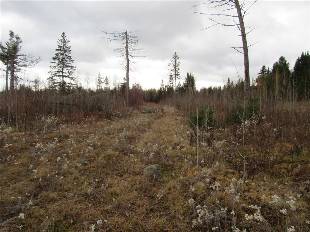 Tbd Long Pond Road Jackman, ME 04945 - Photo 2 of 3 Photo