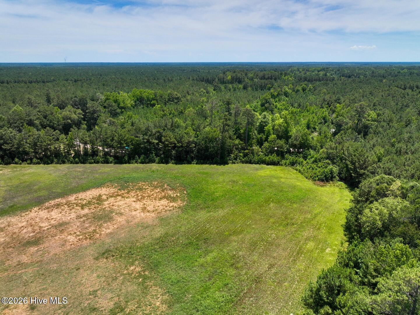 0 Rooks Road Atkinson, NC 28421 - Photo 17 of 117