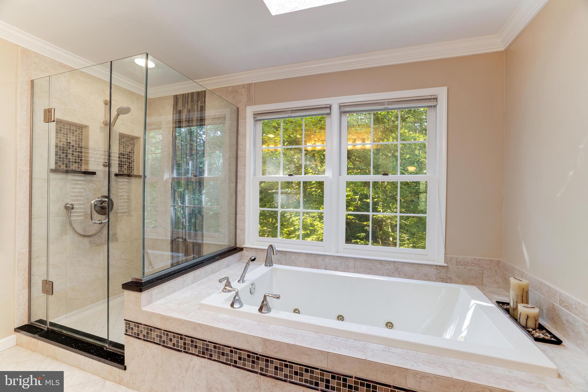 11913 State Rte 4707 Reston, VA 20191 - Photo 48 of 85 Primary Bathroom - soaking tub