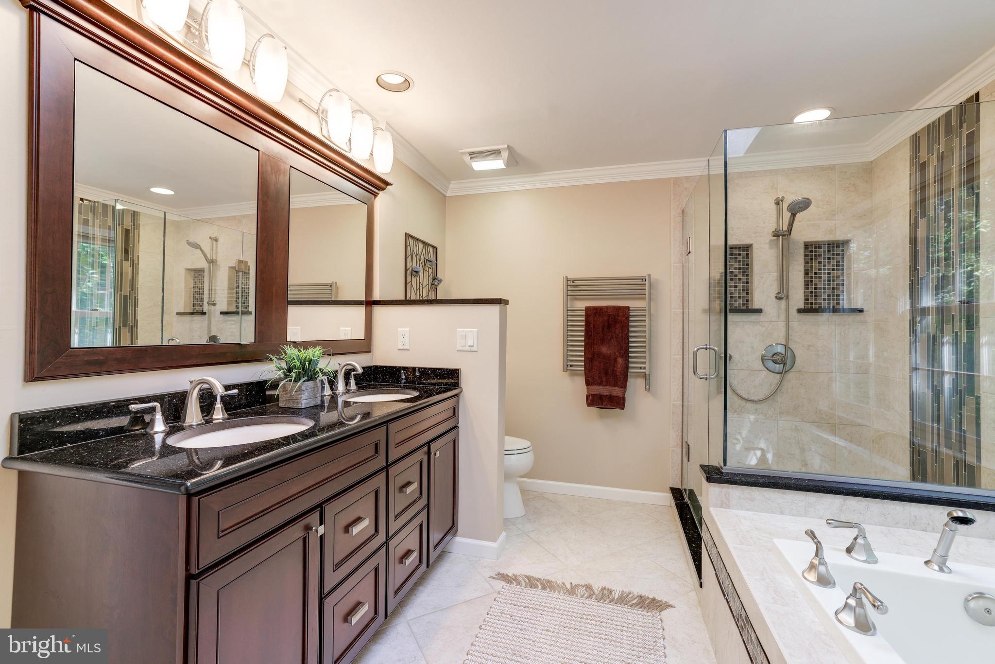 11913 State Rte 4707 Reston, VA 20191 - Photo 49 of 85 Primary Bathroom - built-in medicine cabinets