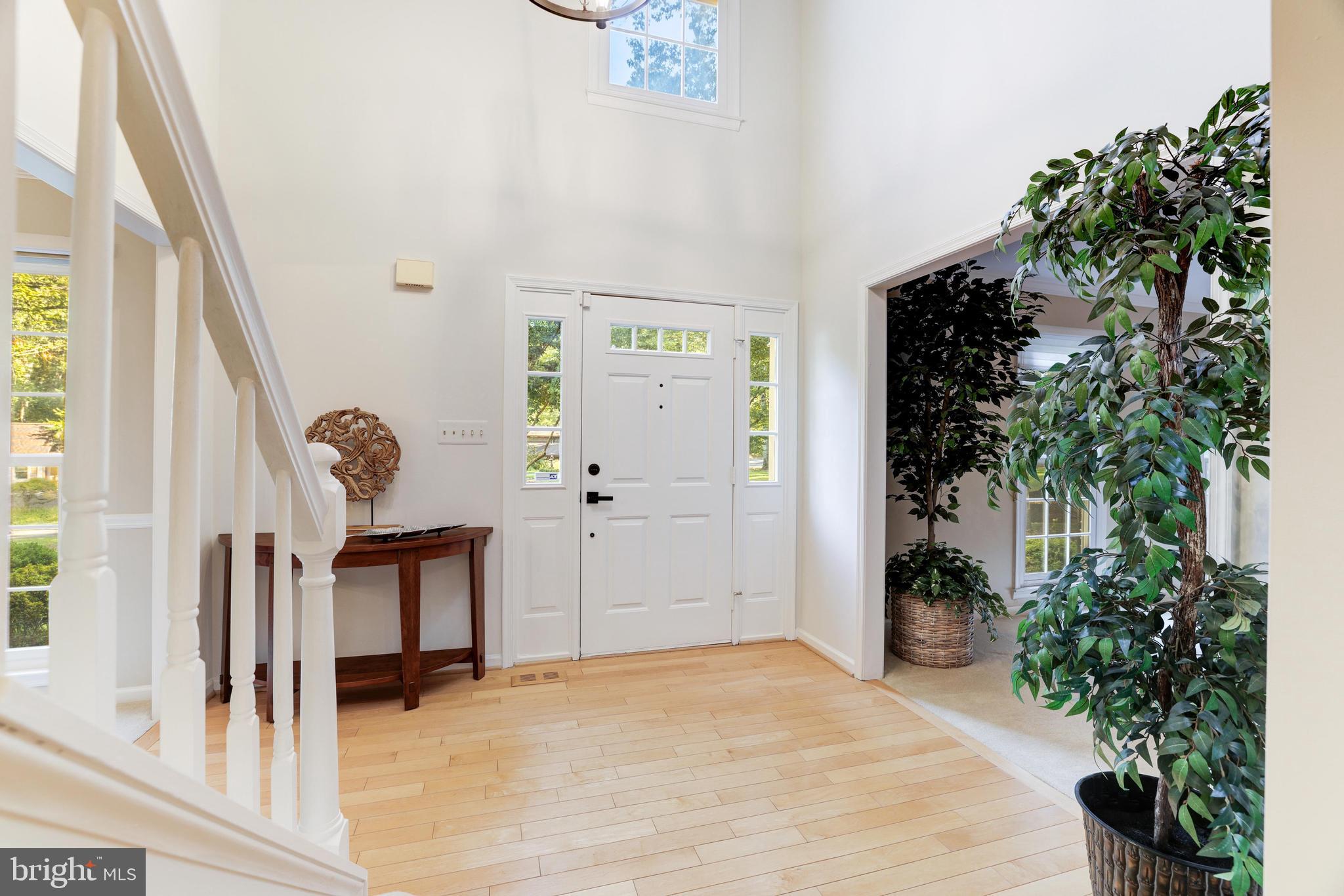 11913 State Rte 4707 Reston, VA 20191 - Photo 5 of 85 Foyer