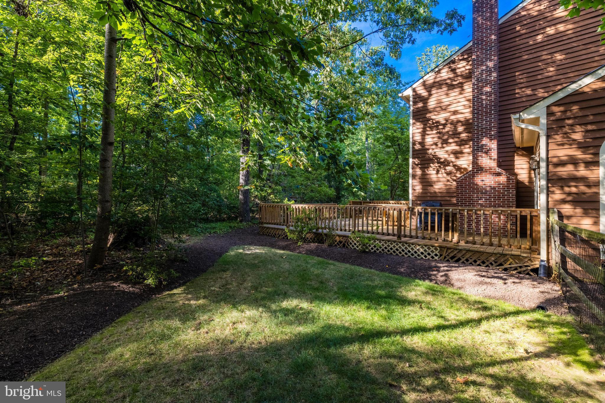 11913 State Rte 4707 Reston, VA 20191 - Photo 83 of 85 side yard