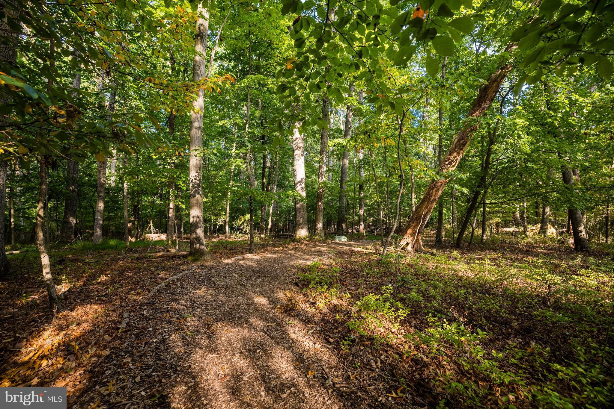 11913 State Rte 4707 Reston, VA 20191 - Photo 84 of 85