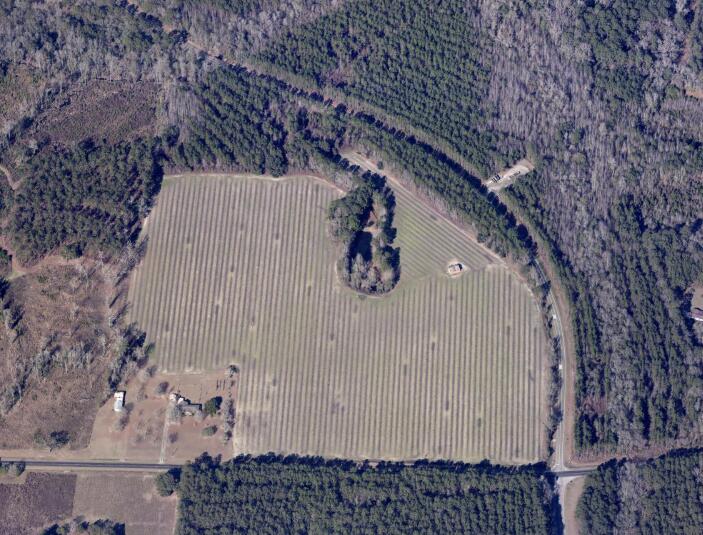 20945 Highway 46 Pembroke, GA 31321 - Photo 8 of 12 aerial