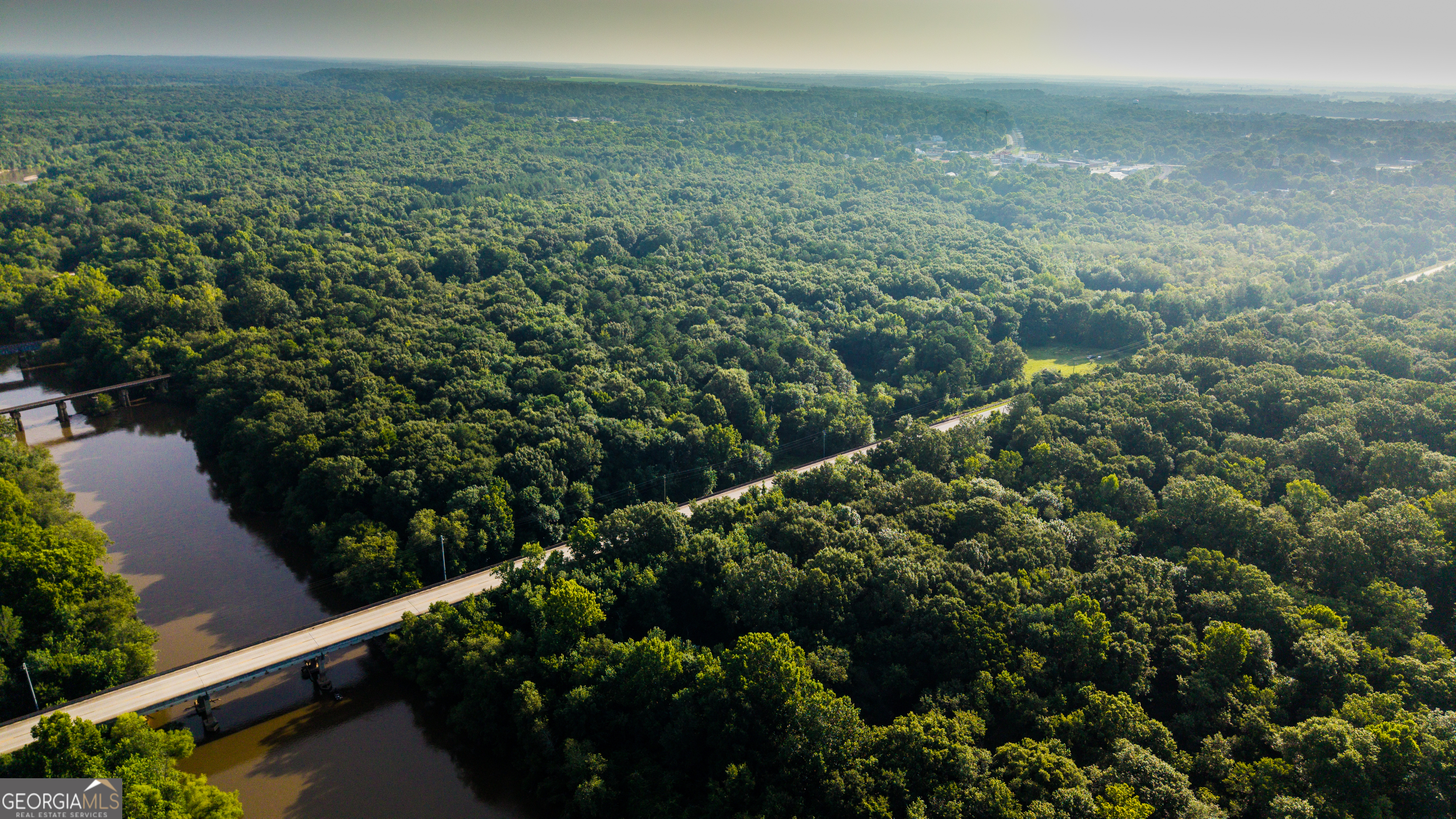 Tbd State Route 26 Road Montezuma, GA 31063 - Photo 6 of 52