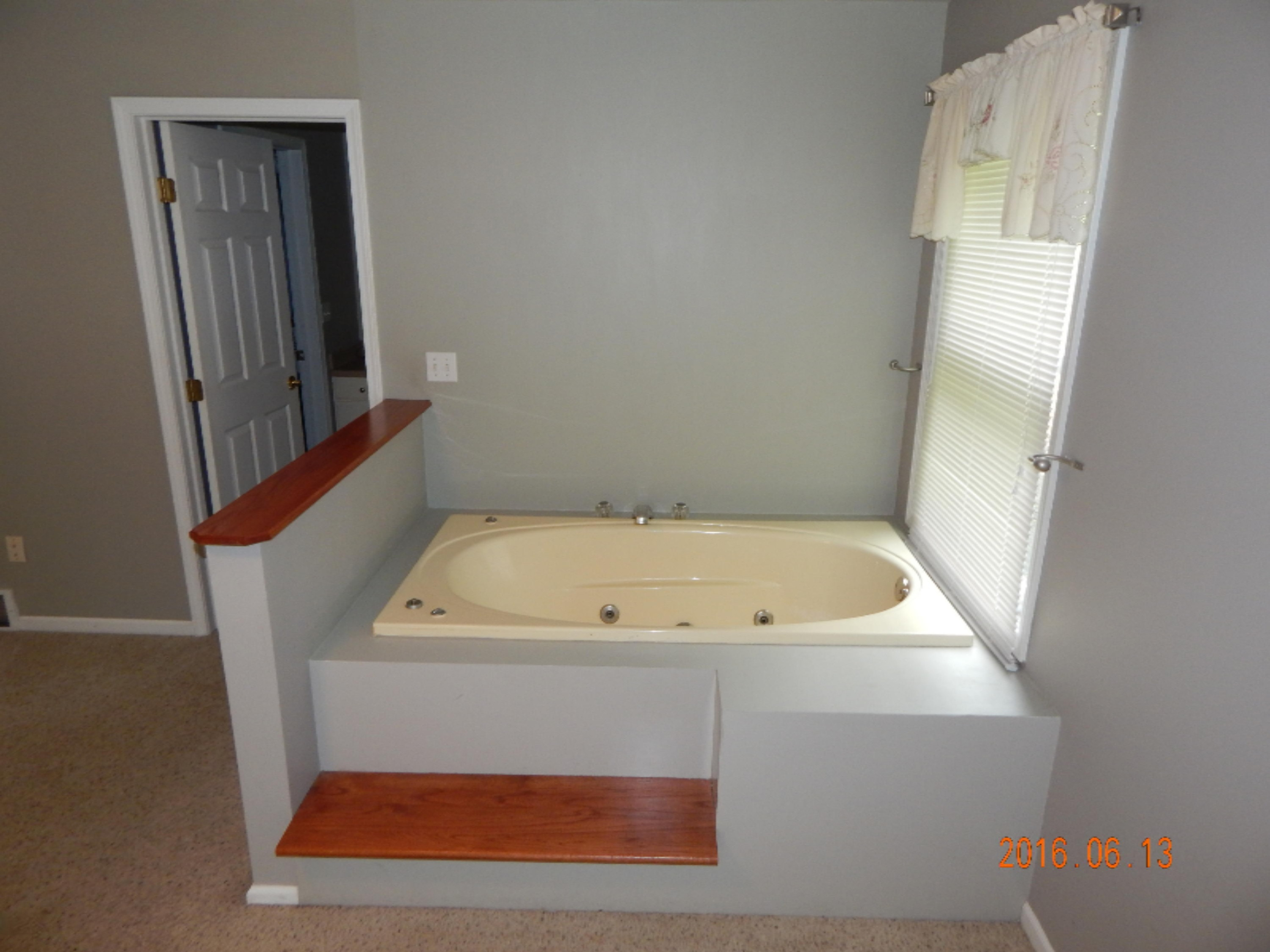 7105 West No Name Road Ludington, MI 49431 - Photo 13 of 28 Master Jet Tub