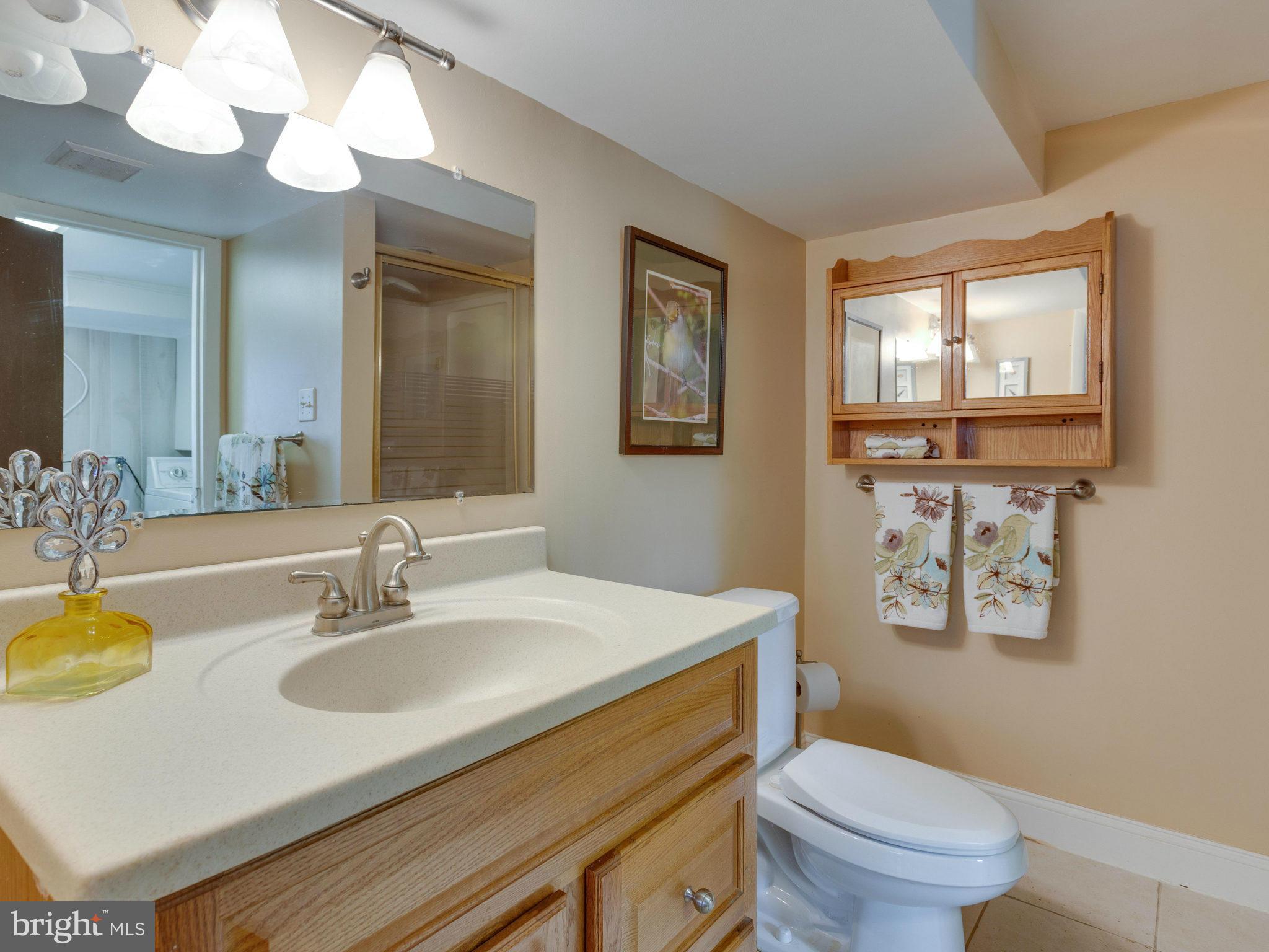 5224 Ferndale Street Springfield, VA 22151 - Photo 24 of 30 Bath