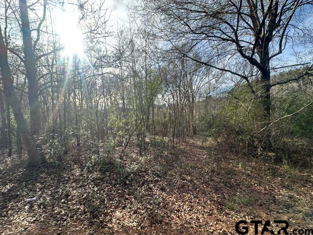 286 Garrison Tx 75946 Garrison, TX 75946 - Photo 2 of 5 a view of a yard with large trees